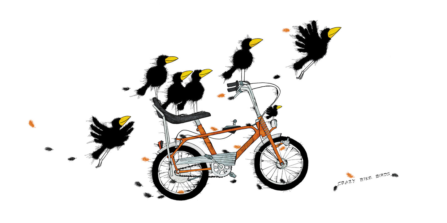 Crazy Bike Birds