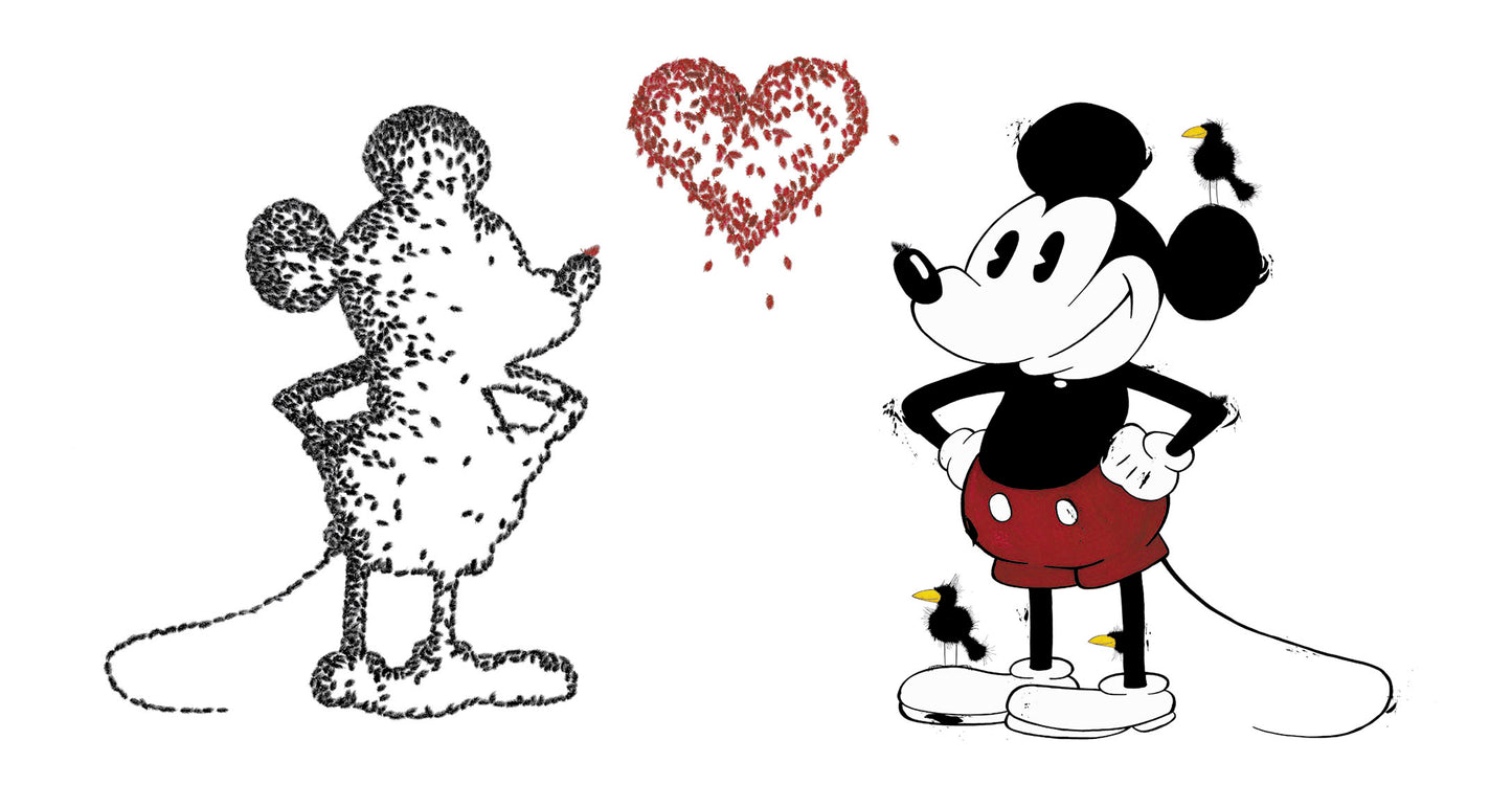 Falling in Love with Mickey