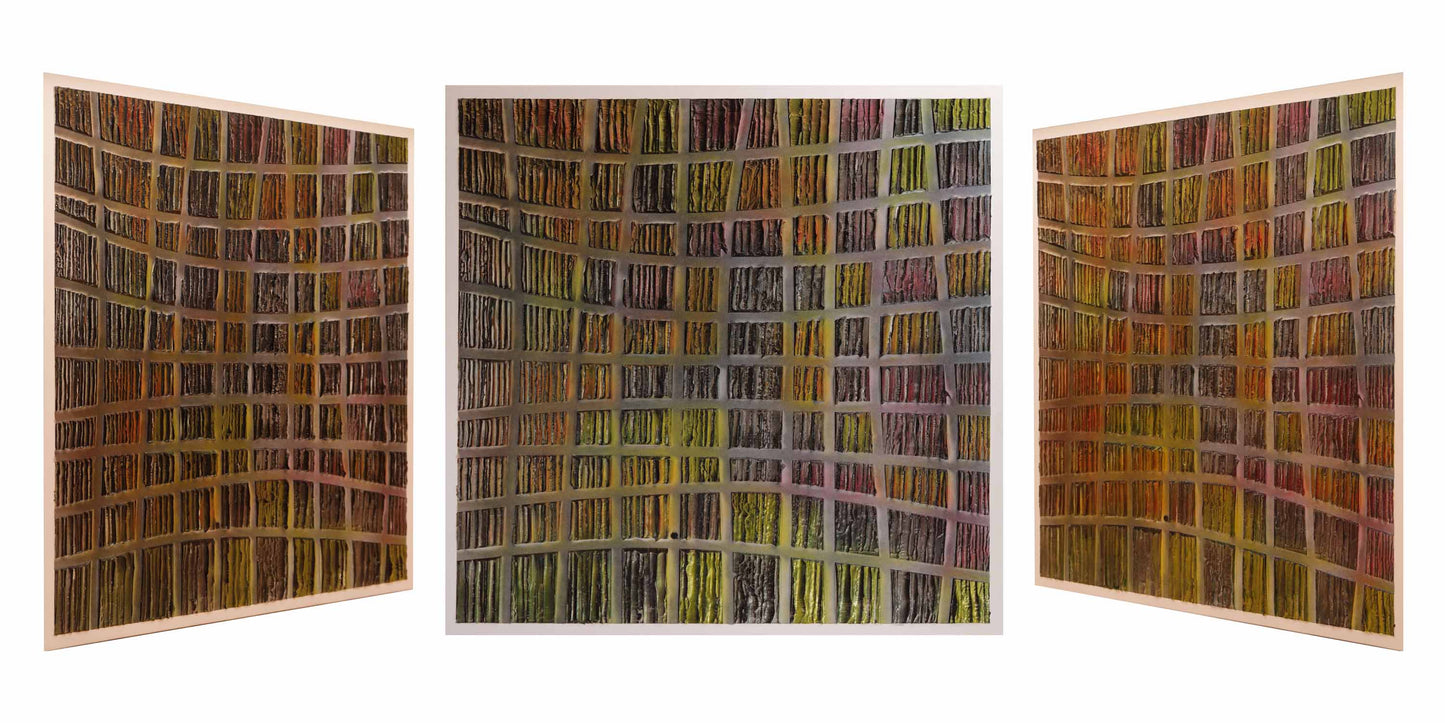 Schneider Reliefbild 3