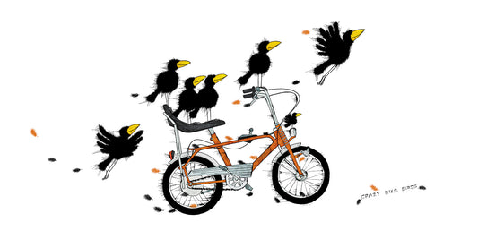 Crazy Bike Birds