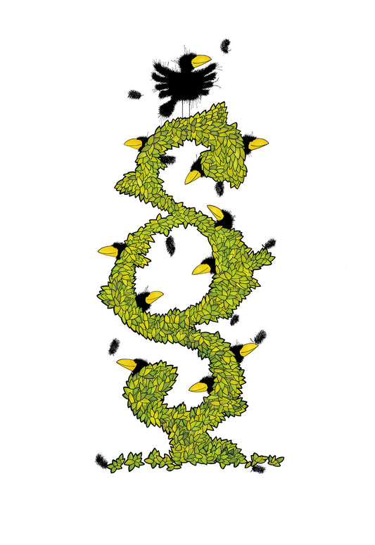 Buxus Paragraphicus