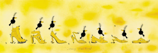 Sunny Shoebirds
